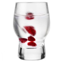 Kieliszki do wódki lub likieru Sterling krosno 50ml